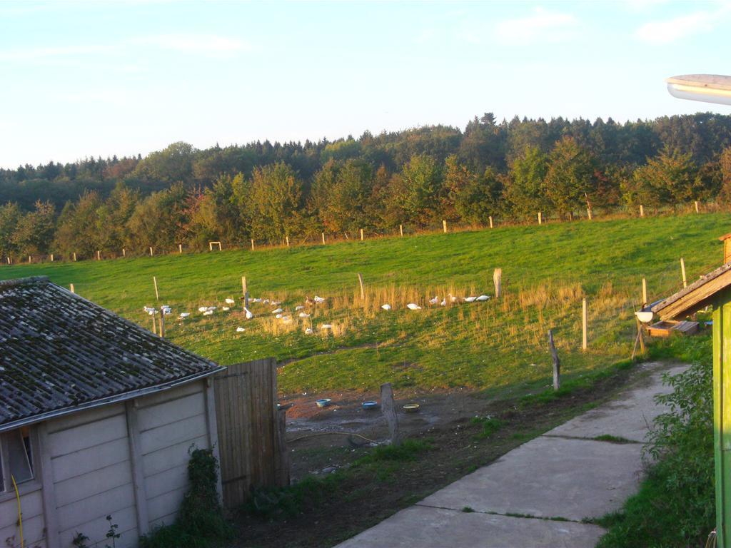 Ferienwohnung Hof Beuck Travenhorst Exterior foto